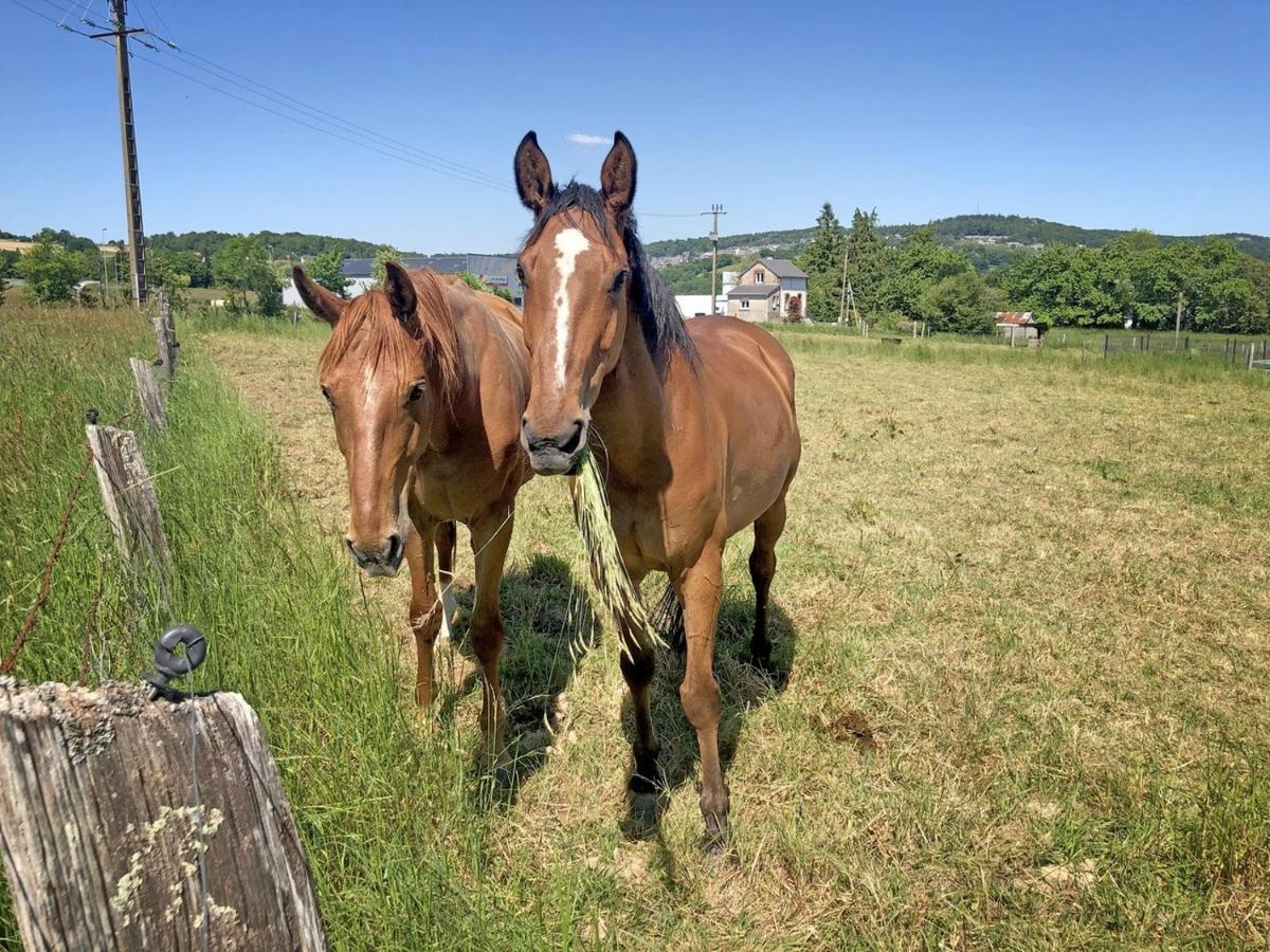 Les Closeaux Phil Mortain-Bocage Luaran gambar