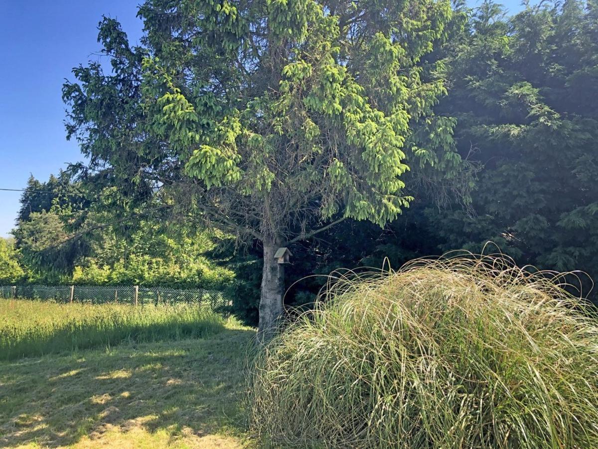 Les Closeaux Phil Mortain-Bocage Luaran gambar